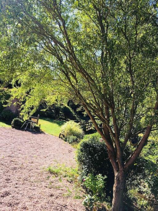 Le Moulin De L Epine Villa Taintrux Dış mekan fotoğraf